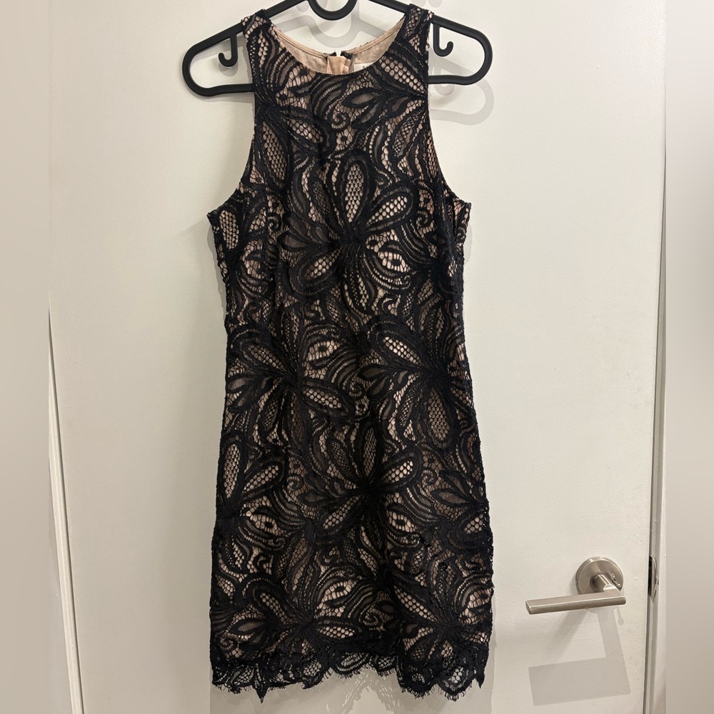 Babaton Black and Cream Lace Mini Dress